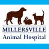 Millersville Animal Hospital - Timothy S Trigilio DVM gallery