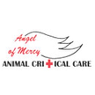 Angel  Of Mercy Animal Critical Care - San Antonio, TX