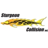 Sturgeon Collision gallery