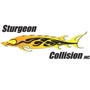 Sturgeon Collision