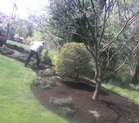 Martin's Landscaping LLC - Wilmington, DE