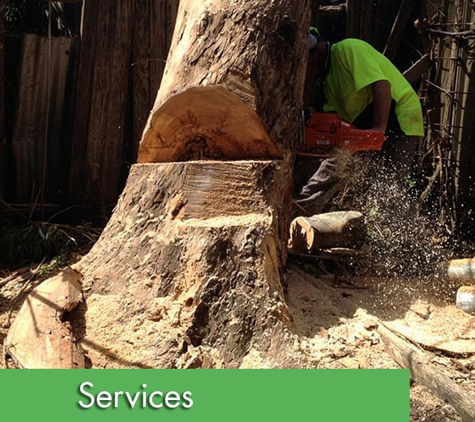 All Coast Tree Services - West Wollongong, NSW