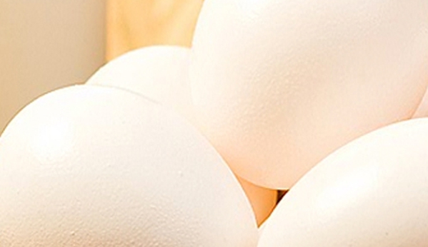 Llandilo Farm Fresh Eggs - Llandilo, NSW. Image 2