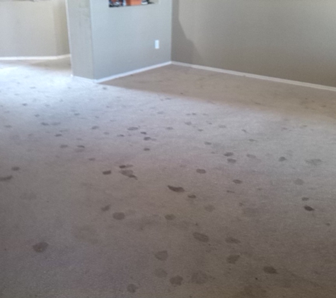 King Carpet Cleaning - Goodyear, AZ