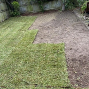 Gallery Image Number 5