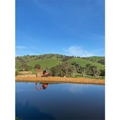 Gallery Image Number 7