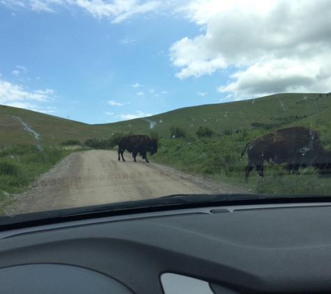 Bison Range - Charlo, MT