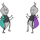 A Nit In Time (head lice removal services) - Medical Information & Research