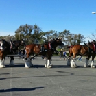 Budweiser Tours