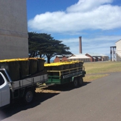 Gallery Image Number 2