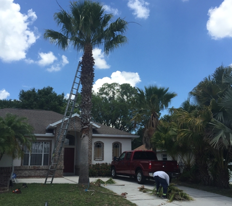 Quality tree service - Hudson, FL