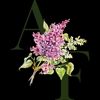 Adore Flowers gallery