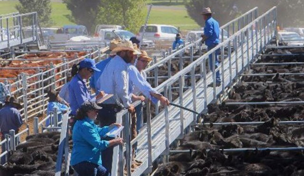 Monaro Livestock & Property Pty Ltd