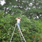 YARD BIRDS LANDSCAPE CLEAN UP