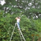 YARD BIRDS LANDSCAPE CLEAN UP