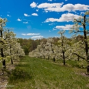 Rose Berry Farm LLC - Farmers Market