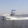 Shearwater Charters