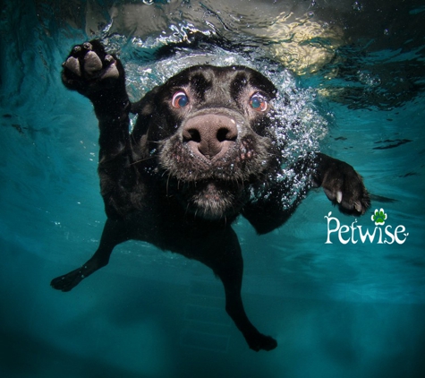 Petwise - Organic Pet Grooming & Boarding - Miami, FL