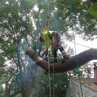 Tree Care Specialists - Strongsville, OH