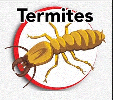 Extermital Termite & Pest Control - West Lafayette, OH