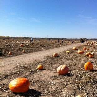 Schaake Pumpkin Patch - Lawrence, KS