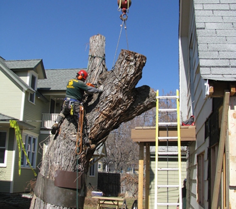 Berkelhammer Tree Experts, Inc. - Louisville, CO