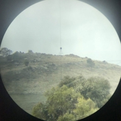 Gallery Image Number 6