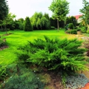 James  Peck Landscape Service - Landscape Contractors