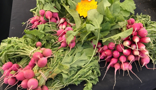 Sprouts Farmers Market - Rhinebeck, NY