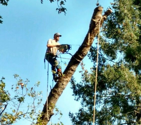 AAA Quality Tree Service - Auburn, CA