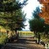 Napa Valley Ornamental Nursery gallery