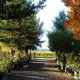 Napa Valley Ornamental Nursery