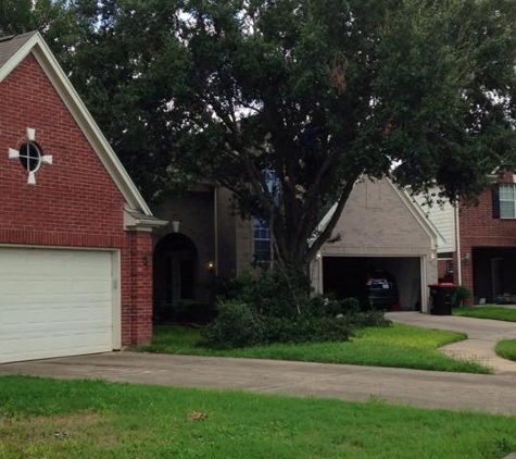 Hollow Tree Service - Houston, TX