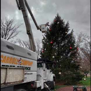 Carroll And Company Tree Service