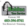 Bolduc Tree Service gallery