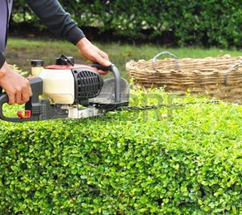 Henry's Lawn Service and Home Maintenance - Tampa, FL. Lawn Maintenance