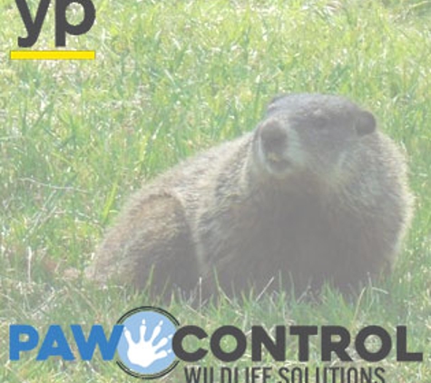 Paw Control Wildlife Solutions - Hiawatha, IA