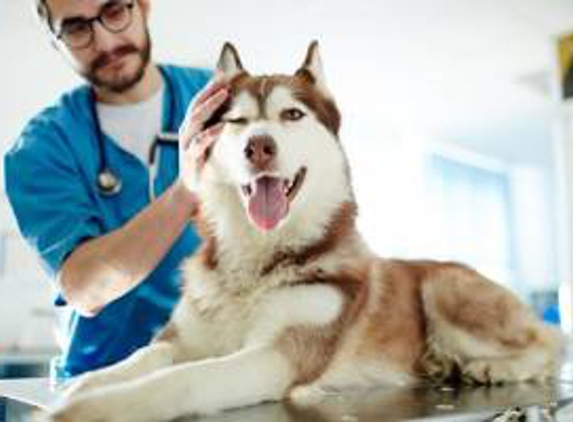 Morganna Animal Clinic & Boarding Kennel - Manassas - Manassas, VA