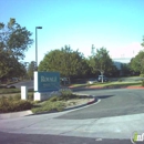 Cohen, Adee, MD - Physicians & Surgeons