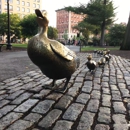 Boston Common Frog Pond - Parks