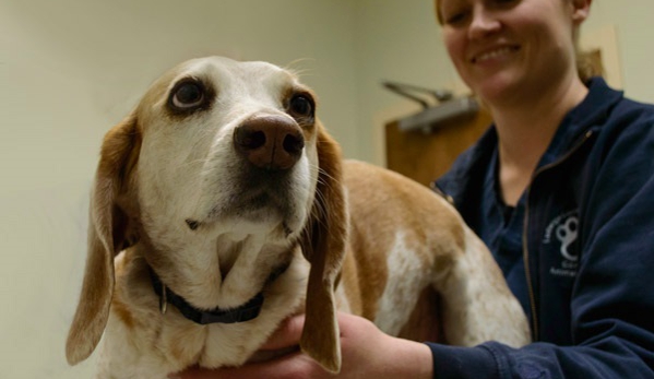 Coventry Animal Hospital - Pottstown, PA