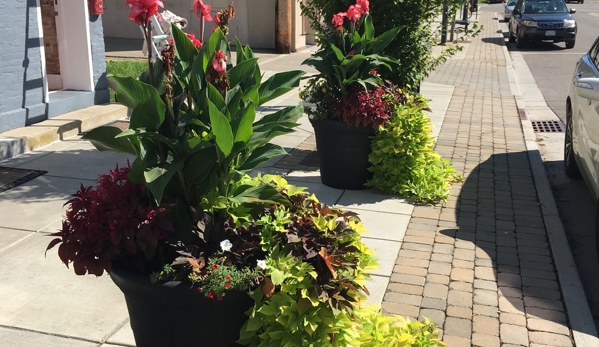 Grounds for Pleasure Coffee House - Tipp City, OH. Plants in bloom