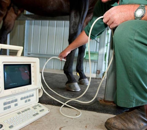 Allora Veterinary Clinic - Allora, QLD