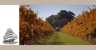 Brands Laira Coonawarra - Wineries & Vineyards