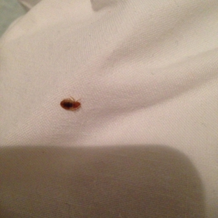 Cincinnati Bed Bug Removal Co. - Cincinnati, OH