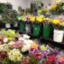 Travis Wholesale Florists