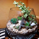 Desert Flora Plant Art & Cacti - Gift Baskets