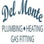Del Monte Plumbing, Heating & Gas Fitting - Ashland, MA