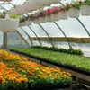 Mid Atlantic Plant Company Incorporated - CLOSED gallery