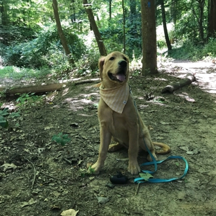 Potomac Overlook Regional Park - Arlington, VA